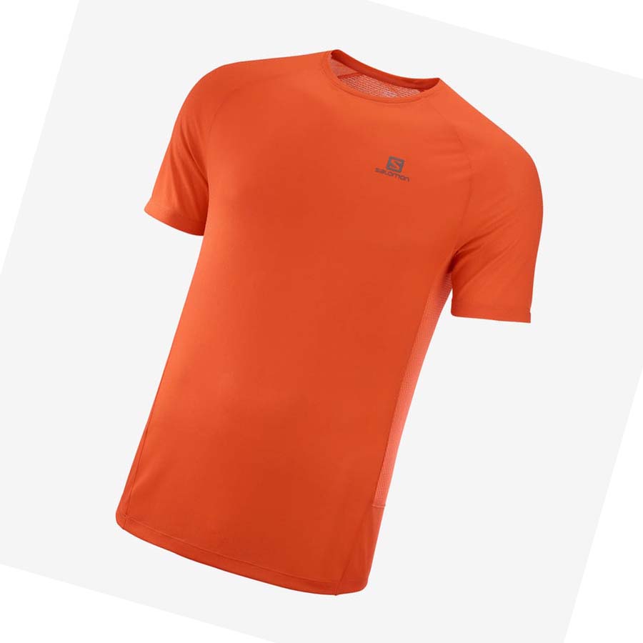 Camiseta Salomon PROMO CROSS REBEL Hombre Naranjas | MX 3239DFM